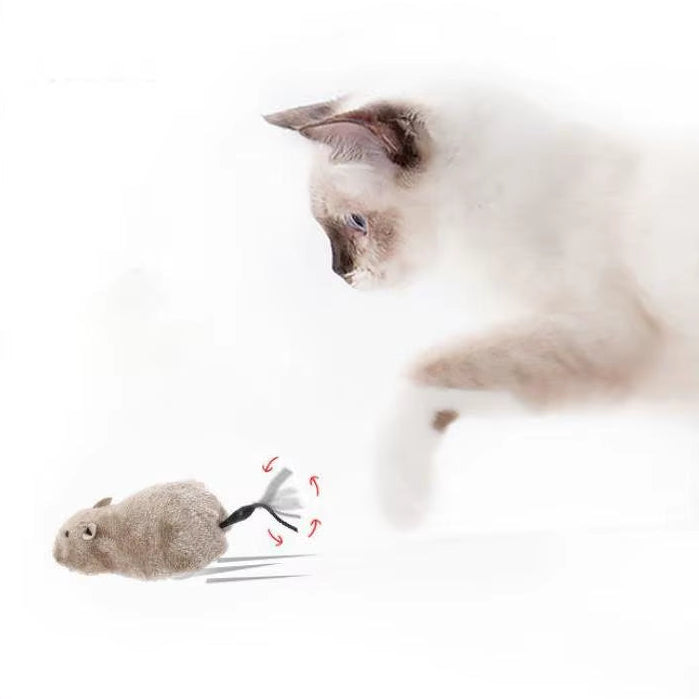 Electric Running Mouse Toy for Cats