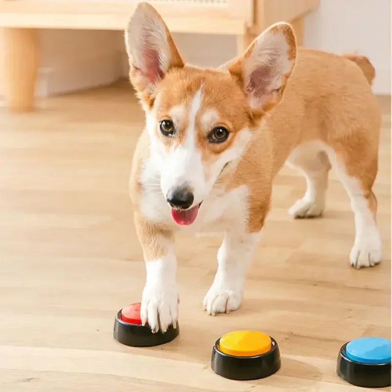 Recordable Speaking Button for Pet Communication