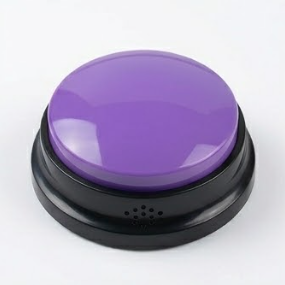 Recordable Speaking Button for Pet Communication